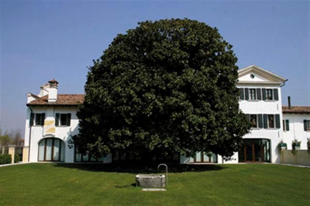 Hotel Fossa Mala Fiume Veneto Exterior photo